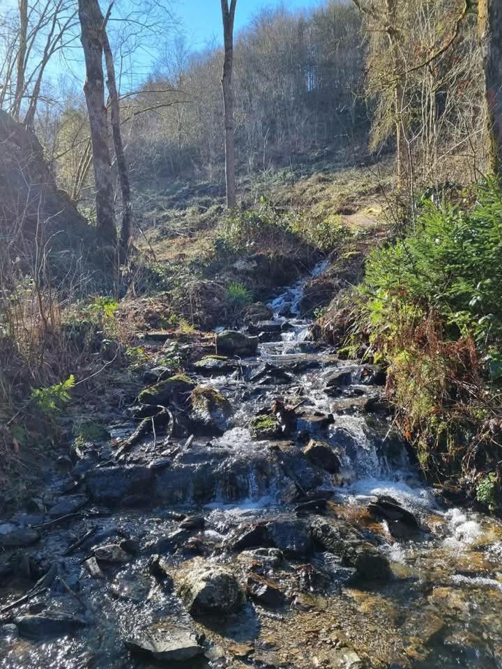 Au Vieux Lavoir Alle Buitenkant foto